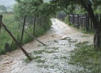 Bătuţi de grindină, trataţi cu indiferenţă de guvernanţi
