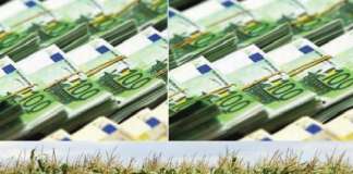 EXCLUSIV Milionarii, străinii şi politicienii care au arendat Oltul- stăpânii pământurilor din proprietatea statului