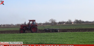 Agricultura, o afacere de succes