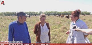 Autorități în alertă