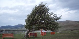Alertă de la meteorologi! 29 de județe sunt sub cod galben de fenomene periculoase