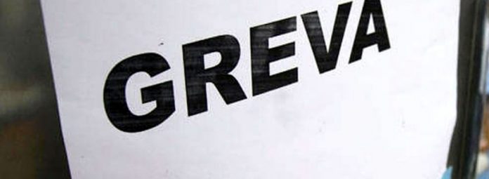 greva-820x300