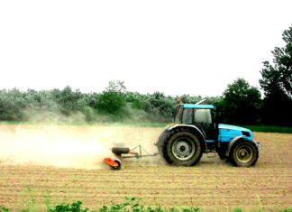 APIA Olt eliberează adeverințe pentru credite agricole