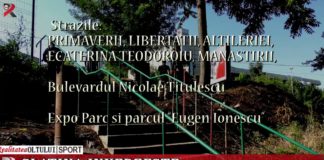 Slatina înverzește. Unde încep lucrările de refacere a spațiilor verzi