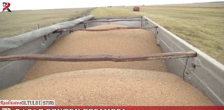 Răgaz pentru fermieri. Până când pot fi depuse cererile de finanțare pe submăsura 6.3