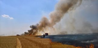 A ARS calea ferată la Piatra Olt. Incendiul încă se manifestă în apropierea șinelor