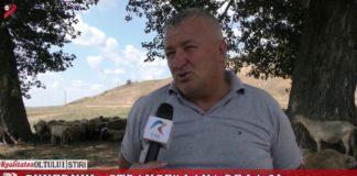 Guvernul „strânge” lâna de la oi