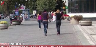 Așteptați să își aleagă un job
