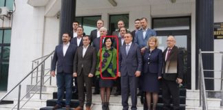 Președinta femeilor pesediste din Slatina, audiată pentru Comitetul de Reglementare al ANRE