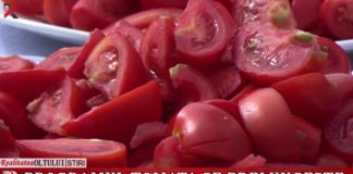 Programul “Tomata” se prelungește