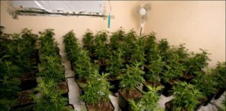 Laborator de droguri în casa bunicilor