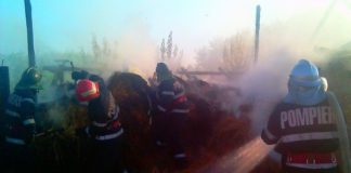 Bărbat găsit carbonizat ! Și-ar fi dat foc din cauza suferinței