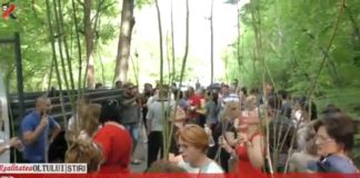 PSD Olt:1000 de stejari pentru Centenar