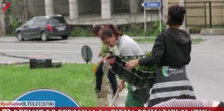 Deficit de personal la firma Primăriei Slatina