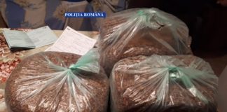 FOTO. Rezultat percheziţii: 12 persoane audiate, instalații ridicate, tutun şi bani