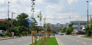 Continuă lucările de înfrumusețare a Slatinei
