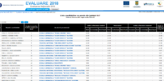 7 elevi din Olt cu 10 la Evaluarea Națională