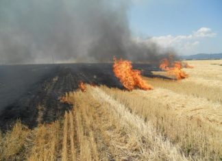 Informare către toți fermierii din județul Olt
