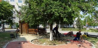 FOTO/ Str. Ecaterina Teodoroiu, la rând la înfrumusețare