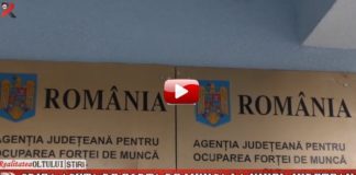 Criză acută de forță de muncă la nivel județean