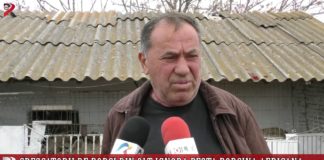 Crescătorii de porci din Olt ignoră pesta porcină africană