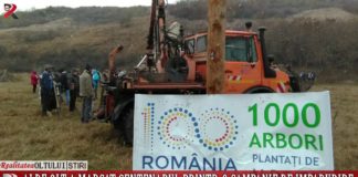 ALDE Olt a marcat Centenarul printr-o campanie de împădurire