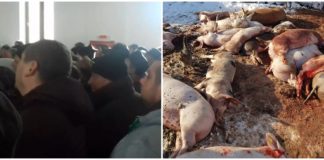 VIDEO Răzmeriță la Rusănești: locuitorii au luat cu asalt primăria! Prefectul, la fața locului