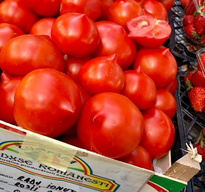 rosii tomate