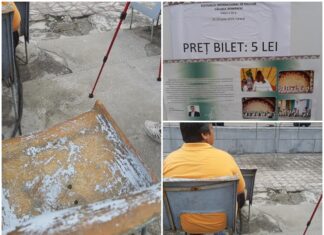 Căluș pe…5 lei și-un praf șters
