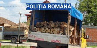FOTO/ Prinși descărcând în Osica de Sus patru dube cu scândură