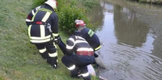 Elevul de la PS Aurelian Slatina găsit ÎNECAT în râul Olt plecase aseară de acasă