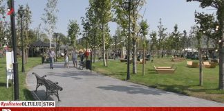 Mall la Slatina – oferte depuse