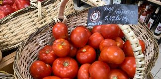 VIDEO-FOTO Furnizori din Olt de tomate, ardei şi dovleci pentru Halloween, în primul magazin Unirea din Capitală