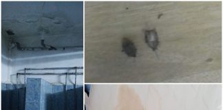 IGPR și ministrul Vela, sesizați cu privire la condiții insalubre de la Școala de Poliție Slatina. Scrisoarea unui polițist cursant