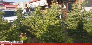 Slătinenii, invitați la brazi… din import