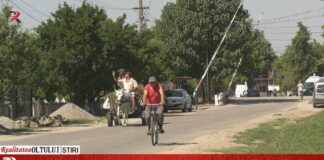 Primarii s-au asociat pentru a introduce gazele