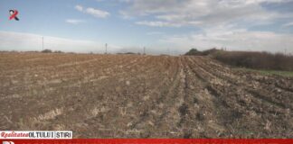 Cresc prețurile la terenurile agricole din județ