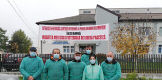 Medicii veterinari PICHETEAZĂ azi sediul DSVSA Olt