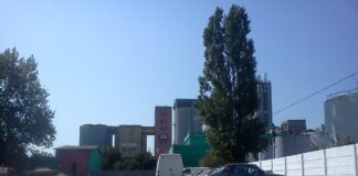Longin din Șerbănești a preluat majoritatea Cerealcom Teleorman cu fabrica de ulei de la Roșiorii de Vede