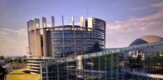 Parlamentul European caută stagiari. Practica în instituția europeană va dura 5 luni