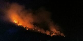 VIDEO/ Pădurea care arde de 5 zile este plină de muniție. Pompierii nu pot controla incendiul care s-a extins pe 28 de hectare