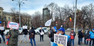 FOTO/ Alro închide și hala nr.8, sindicaliștii protestează azi în fața Guvernului