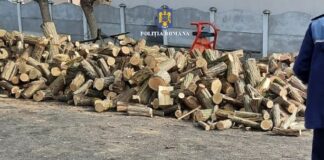 Trei societăți din Olt, prinse cu lemne neînregistrate legal