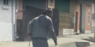 Cruzime fără margini: Un bărbat a aruncat 4 căței la tomberon, iar pe mama lor, la adăpost