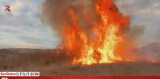 Incendiile de vegetație au cuprins, spre disperarea pompierilor, sute de hectare