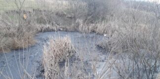 FOTO/ Poluare la Balș: societatea ce a deversat deșeuri în pârâul ce trece prin oraș, amenda uriașă