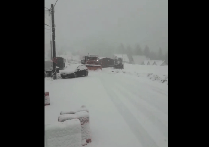 ninge ranca
