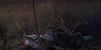 FOTO/ Accident MORTAL între Caracal și Redea. Conducătorul unei căruțe a decedat, șoferița a ajuns la spital