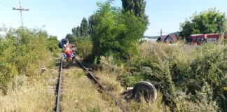 Un tren a dat peste o căruță la Valea Mare. Conducătorul atelajului a scăpat ca prin urechile acului