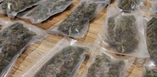 Tânăr din Slatina, reținut pentru trafic de droguri. Cultură de cannabis în Slatina, descoperită la percheziții